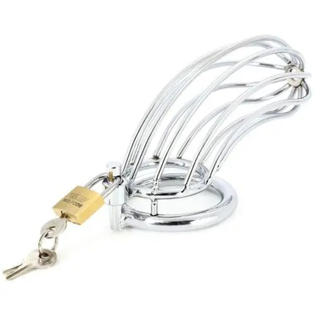 Jaula Metal Pajaro Castidad Masculino